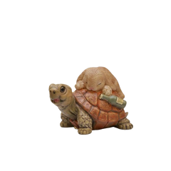 Tipsy Tortoise