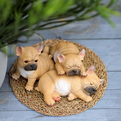 Sleeping French Bulldog Puppy
