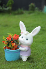 Rabbit with Purple Dress