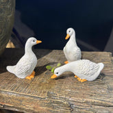 LITTLE WHITE DUCK SET
