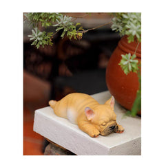 Sleeping French Bulldog Puppy