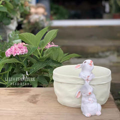 Rabbit Flower Pot