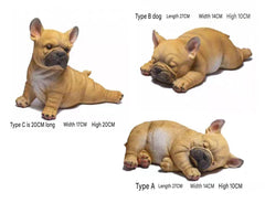 Sleeping French Bulldog Puppy
