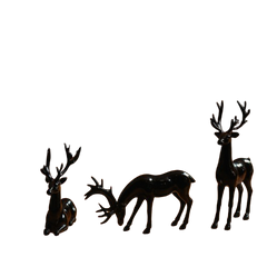 BLACK DEER TRIO