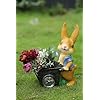 Garden Bunny Statue with Flower Holder