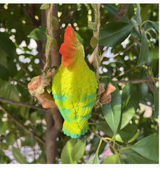 Hanging Parrot Home Décor