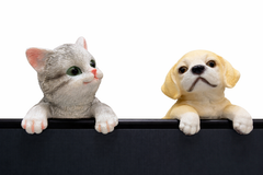 Puppy & Kitten Hanging Figurines