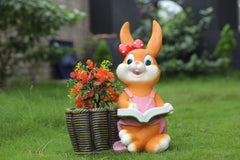 Relaxing Cute Sitting Female Bunny