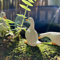 LITTLE WHITE DUCK SET