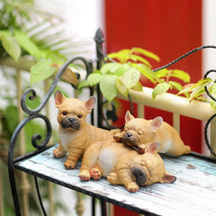 Sleeping French Bulldog Puppy