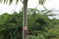 Hanging Monkey Home Décor