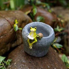 Frog and turtle figurines